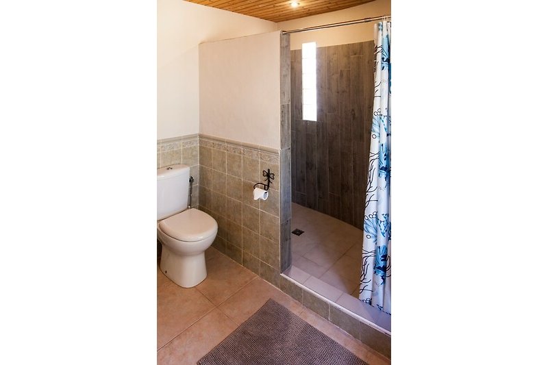 Una stanza da bagno con un pavimento in legno e una parete viola.