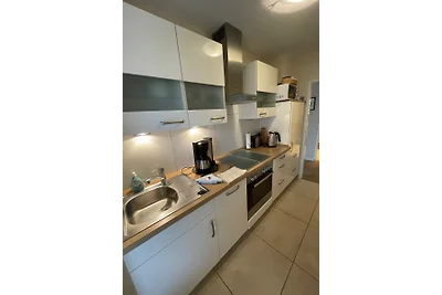 5* Gabbiano argentato (MöwenNest Scharbeutz)