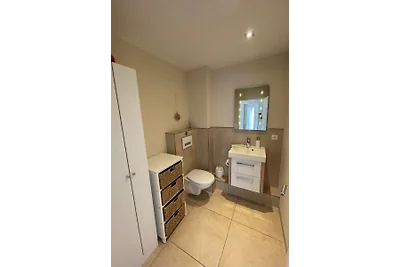 5* Gabbiano argentato (MöwenNest Scharbeutz)