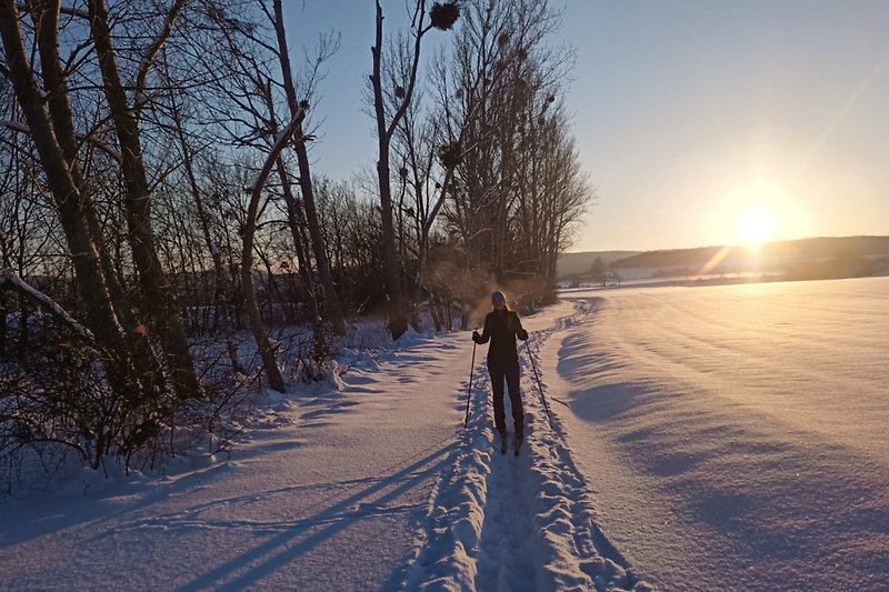 Skilanglauf im Winter