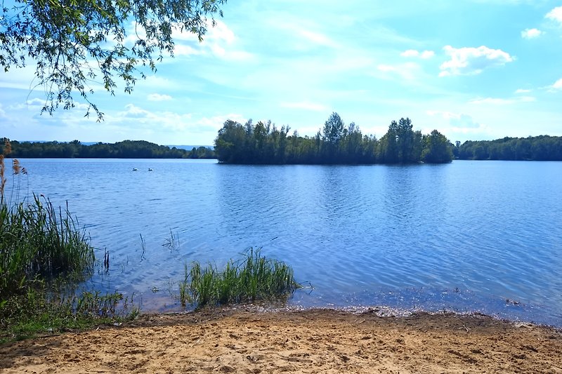 Schwimmen am Ditfurter See