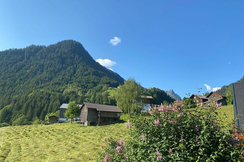 Gemütliches Ferienhaus mit atemberaubender Berglandschaft und malerischer Straße.