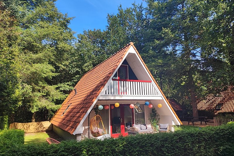 Casa Ciconia, gezellig vakantiehuis in Drenthe