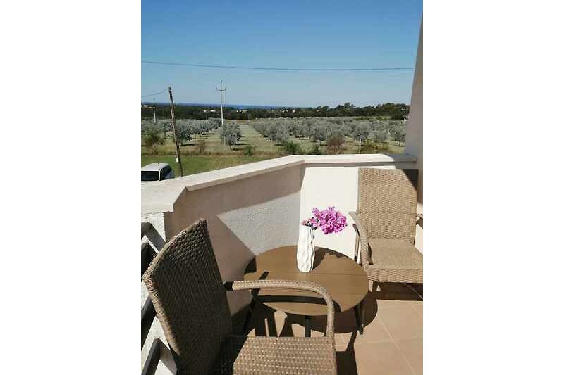 Schöne Aussicht von der Terrasse mit bequemen Möbeln und blühenden Pflanzen.
