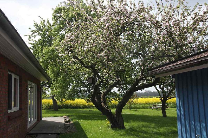 Ein komfortables Haus in einem alten Obstgarten