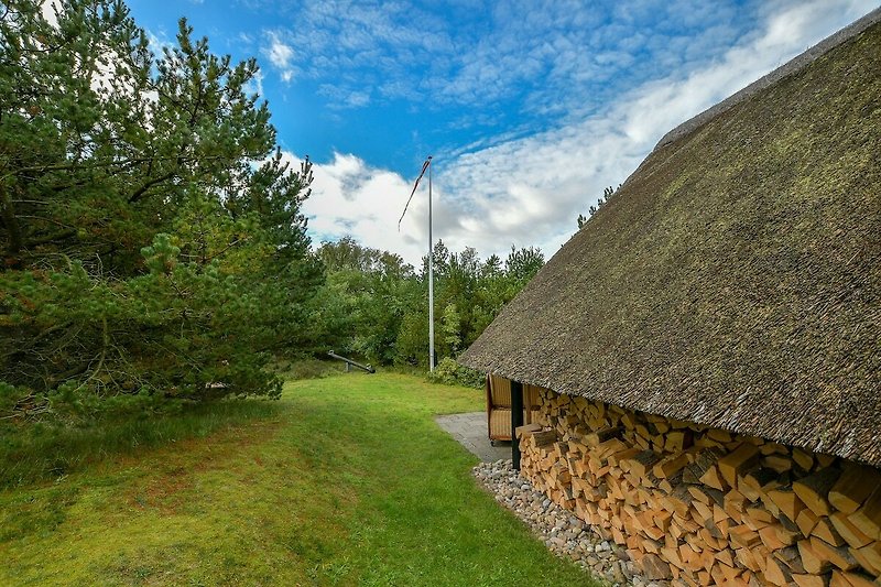 Am Haus gibt es Brennholz kann dazu gebucht werden