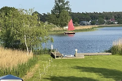 PETERSNEST