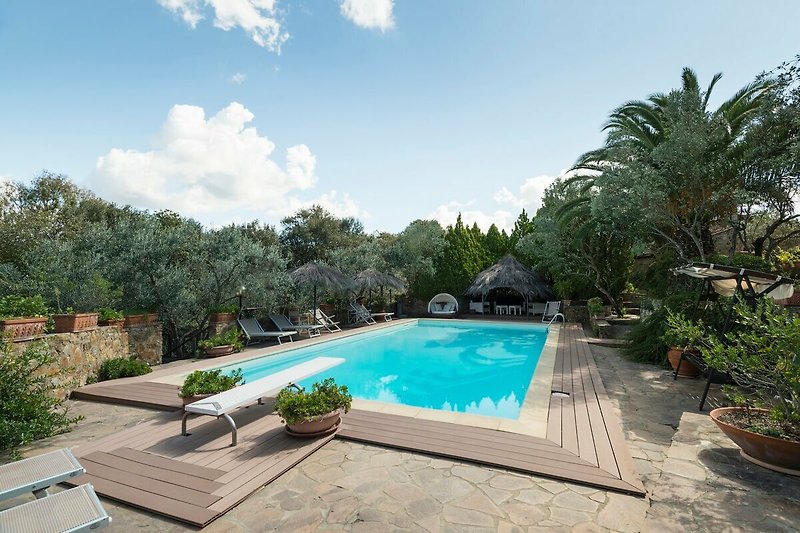 Una piscina azzurra circondata da alberi e piante, con sedie a sdraio per il relax.