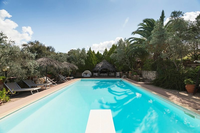 Una piscina azzurra circondata da alberi e piante, con sedie a sdraio per il relax.