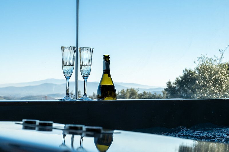 Una vista panoramica con un bicchiere di vino e un paesaggio mozzafiato nella spa coperta