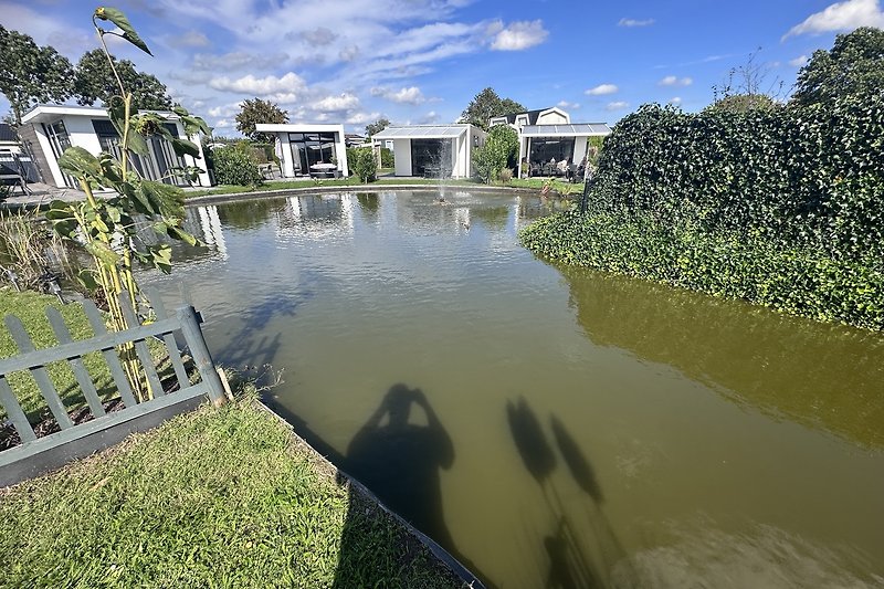 Direkter Zugang  zum Koi Teich mit Springbrunnen