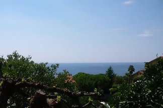 Appartemento Golfo 32 m2