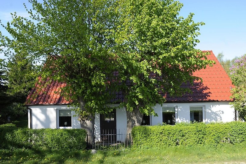 Schönes Haus mit grünem Garten und ländlicher Landschaft.