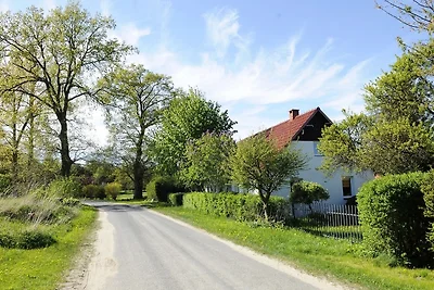 Niczonów No1
