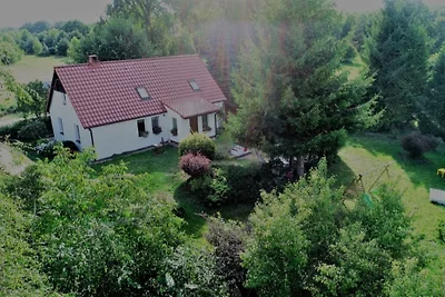 Niczonów No1