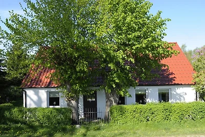 Niczonów No1