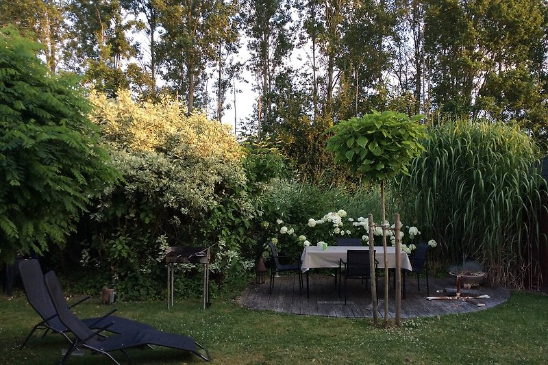 Schöner Garten mit Pflanzen, Vögel und einer entspannten Atmosphäre.