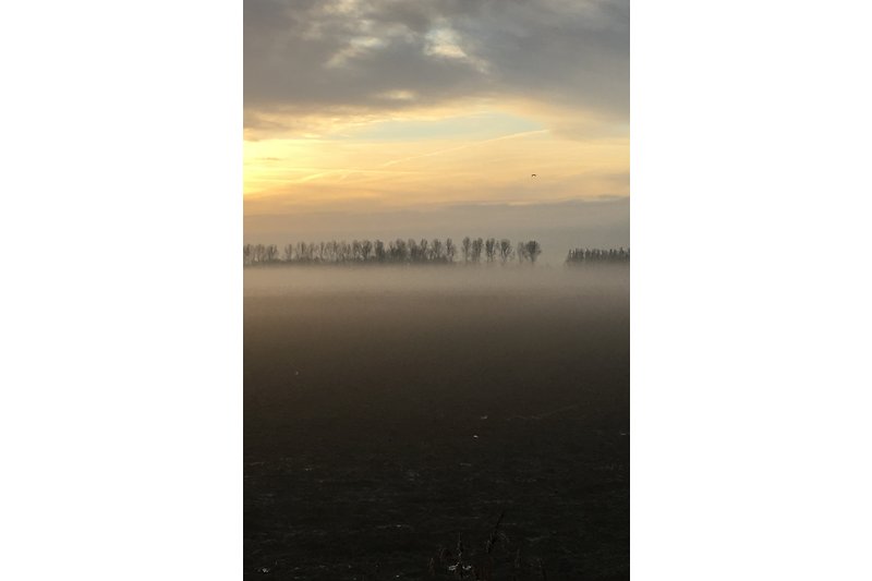 Goereeoverflaakee im Nebel -Rückfahrt von der Nordsee zum Haus