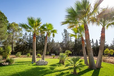 Finca Cel i Sol