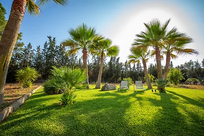 Finca Cel i Sol