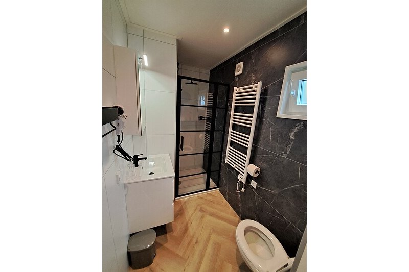 Een moderne badkamer met regendouche, toilet, en een föhn.