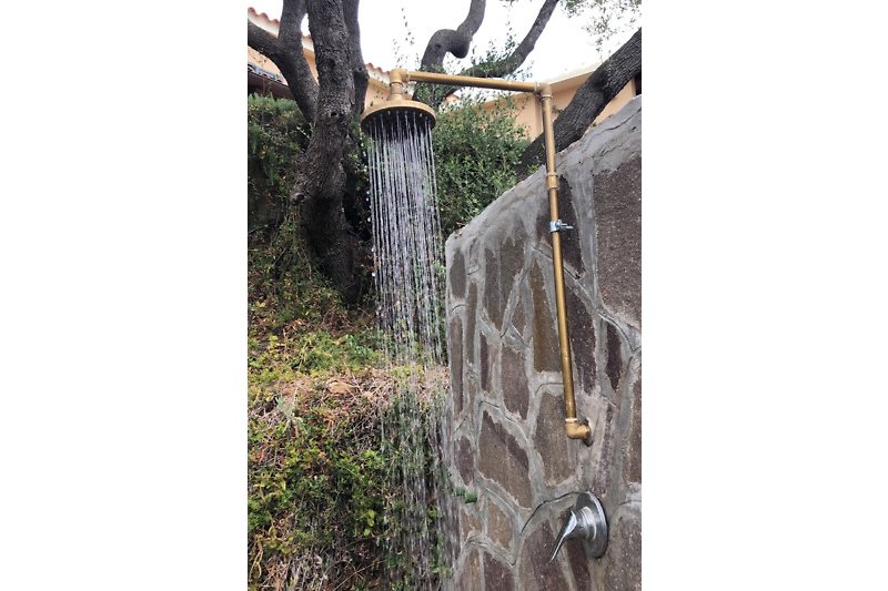Escape to a serene woodland retreat with lush greenery, a rustic tree trunk, and a serene outdoor shower.