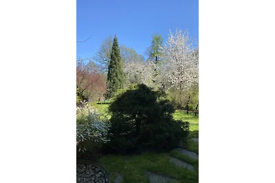 Ferienhaus am Bauernsee (Grünheide/Mark)