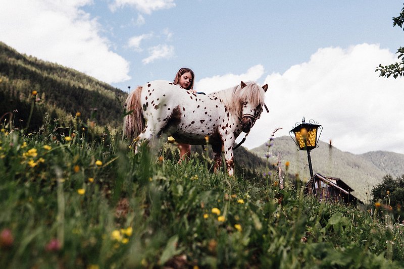 Ein idyllisches Bild von Pferden, Natur und Bergen.