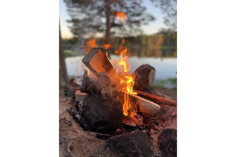 Ein idyllisches Lagerfeuer am See mit umliegenden Bäumen.