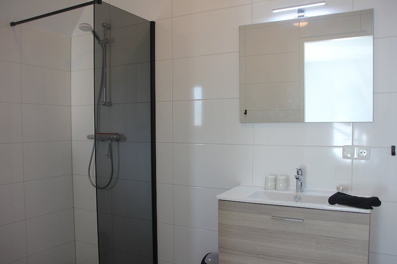 Badezimmer mit Spiegel, Waschbecken und Dusche Erdgeschoss