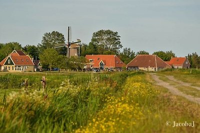 Terschellinger vakantieboerderijtje