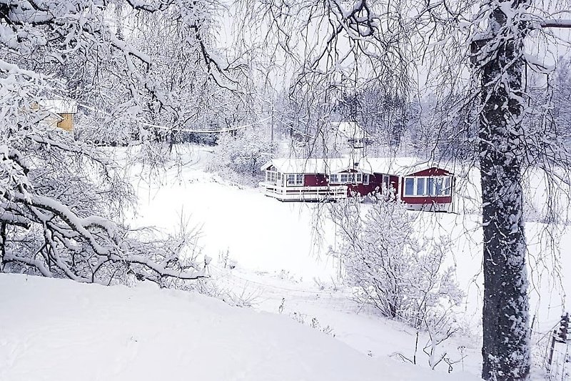 Schneebedeckte Landschaft mit winterlichen Bäumen und frostigem Wetter.