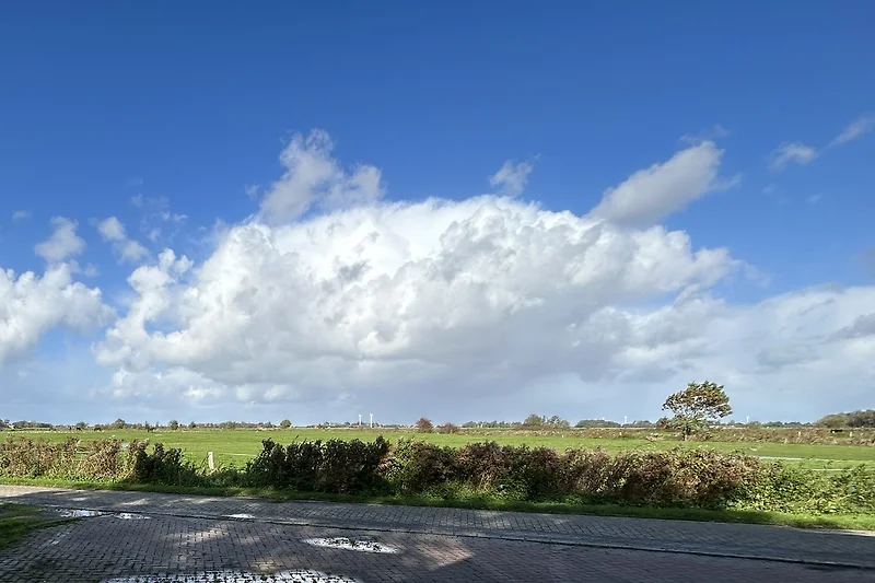 Ausblick von Wohn-/Essbereich