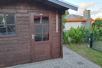 Huis- Meeuw