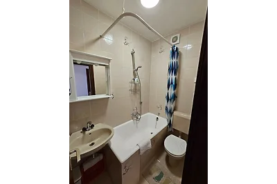 Apartments Nestor - studio apartment with a s...