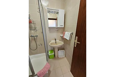 Apartments Nestor - studio apartment with a s...