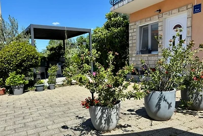 Rural Apartment Ante
