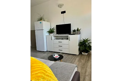 Rural Apartment Ante
