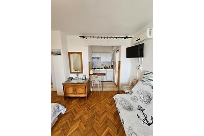 Apartments Nestor - studio apartment with a s...