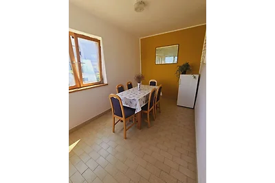 Apartment Mario Murter