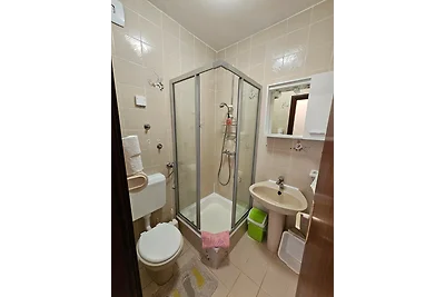 Apartments Nestor - studio apartment with a s...