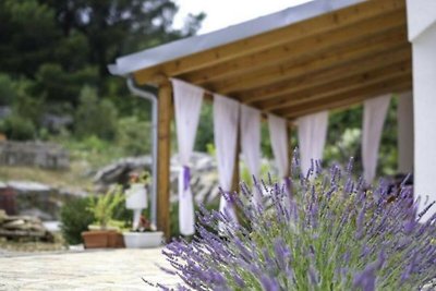 Holiday Home Lavanda