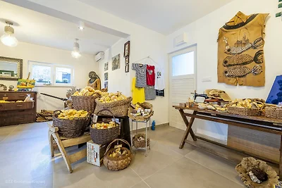 Apartments Zdenka - mit Terrasse A2