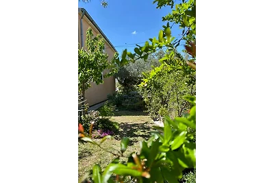 Rural Apartment Ante