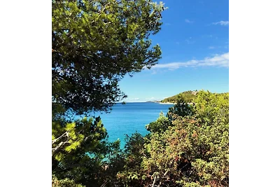 Apartments Alaga - C