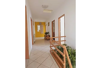 Apartment Mario Murter