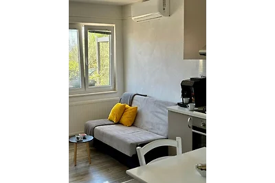 Rural Apartment Ante