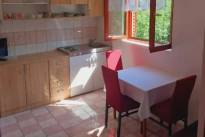 Apartments Tisno - Ein-Zimmer-Wohnung (links)