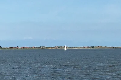 Kraihennüst