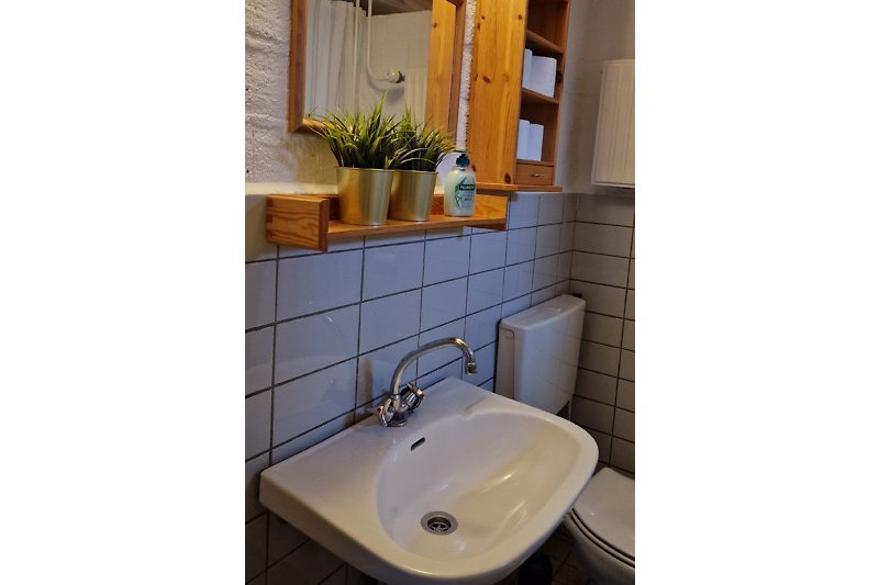 Eenvoudige badkamer met wasbak en plankjes